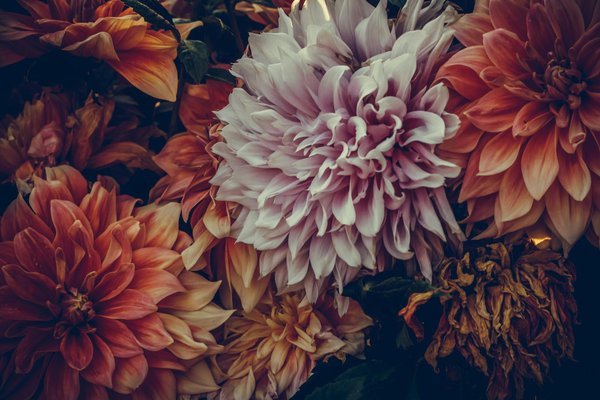 Ultimate guide to sustainable insulation options for your uk cottage: eco-friendly solutions explained